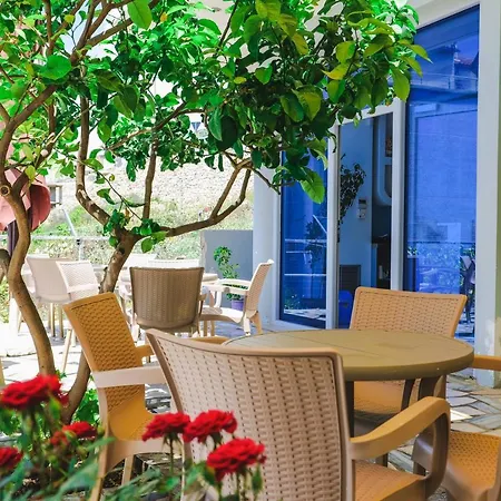 Summer Dream Hotel 3*